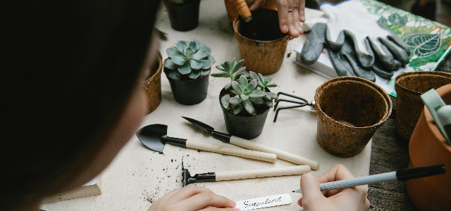 Pots and Planters