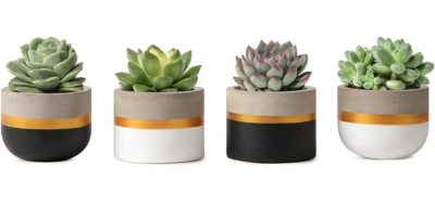 Ceramic-pots-indoor